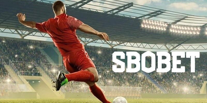 77win đăng nhập mậu binh uy tín