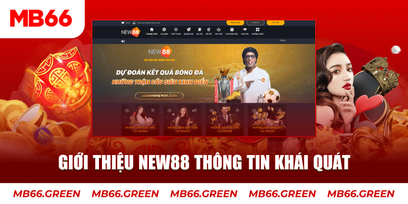 77win c1 gà chọi