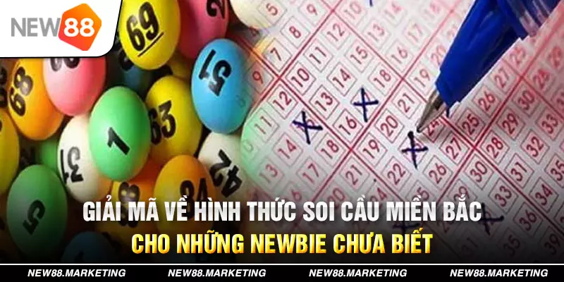 77win đăng nhập tiến lên miền nam miễn phí