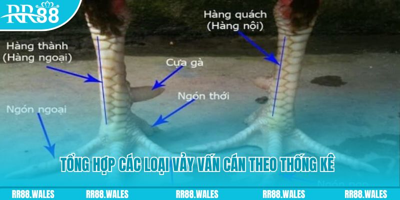 77win HB Điện Tử