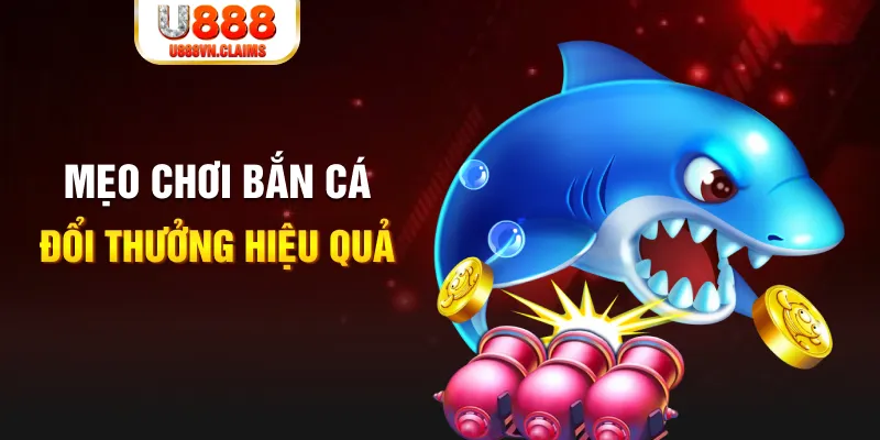 77win gà chọi cam ranh