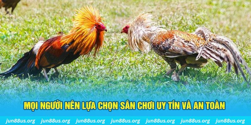 77win Cỡ bảy
