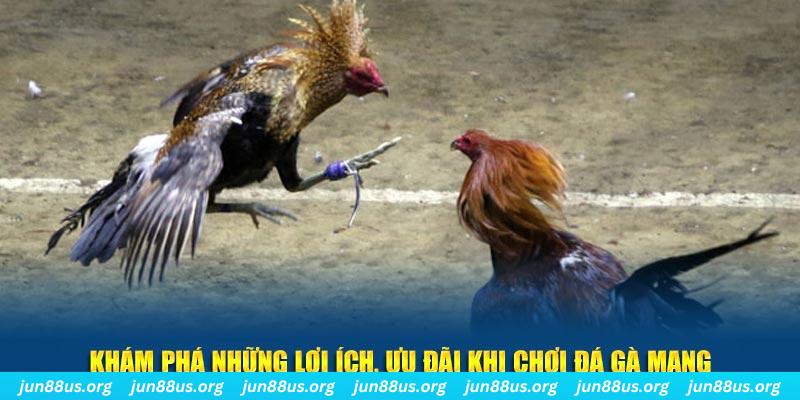 77win đăng nhập liêng live