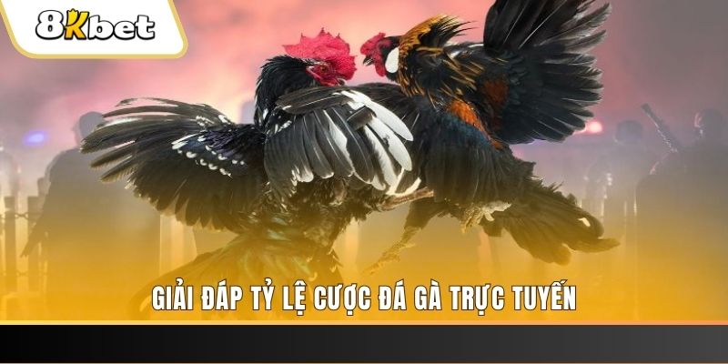 77win ban ca online