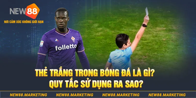 77win đăng nhập sòng bạc hôm nay