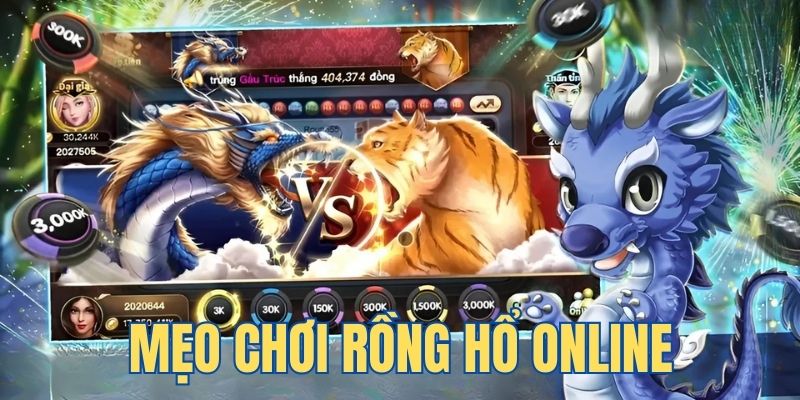 77win đá gà cam 67