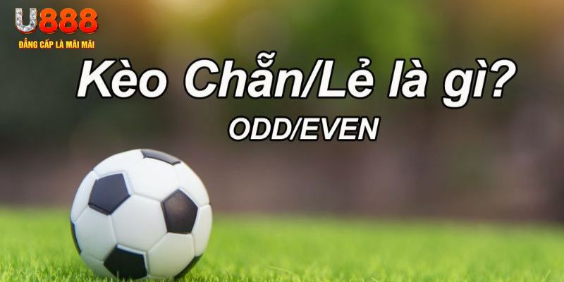 77win đăng nhập sòng bạc 2024