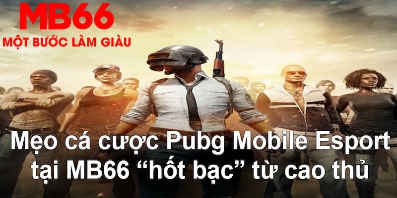 77win đăng nhập poker hàng đầu
