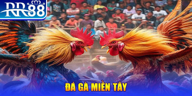 77win người chia bài trong casino gọi là gì
