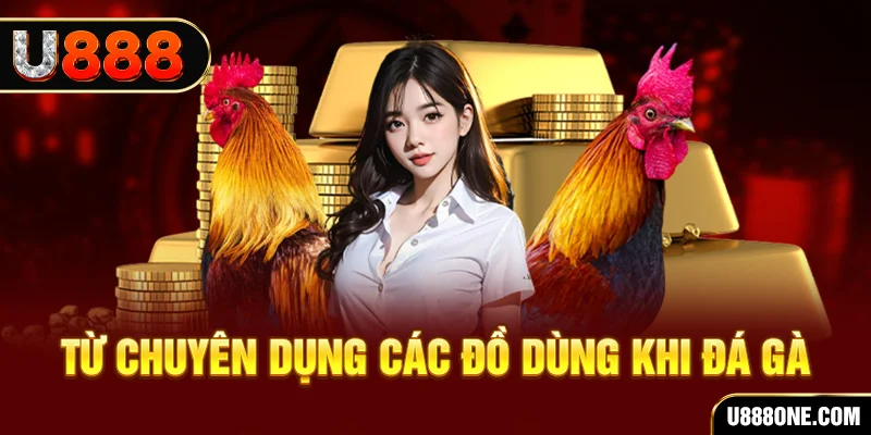 77win đá gà trực tiếp campuchia